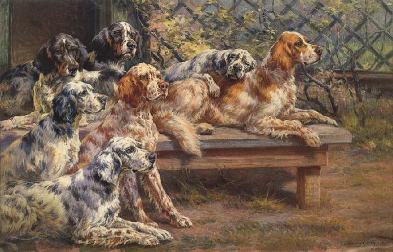 Osthaus, Edmund Henry Seven English Setters